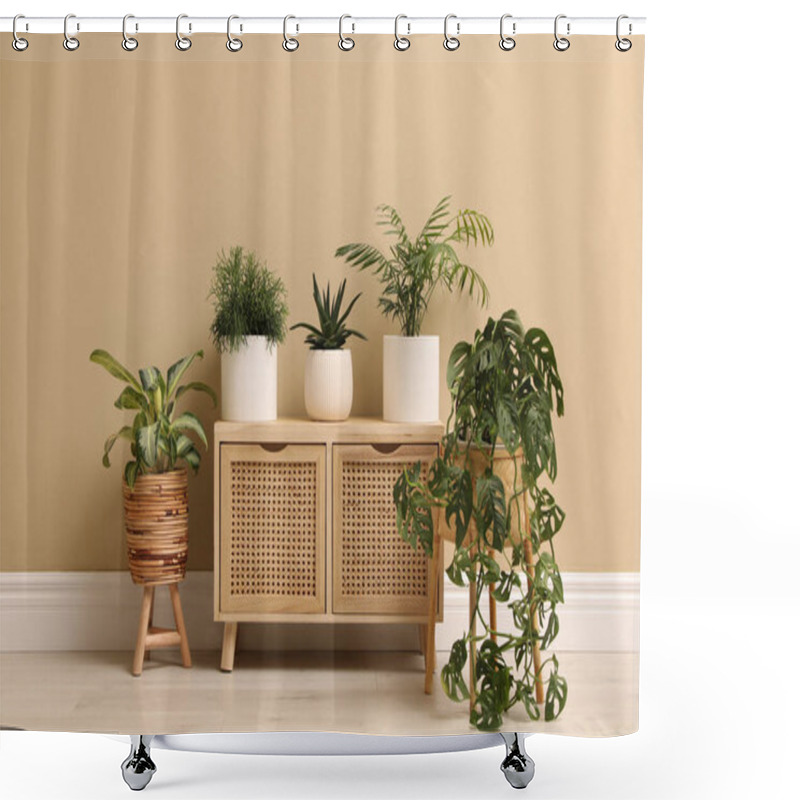 Personality  Different Beautiful Houseplants Near Beige Wall Indoors. Interior Design Shower Curtains