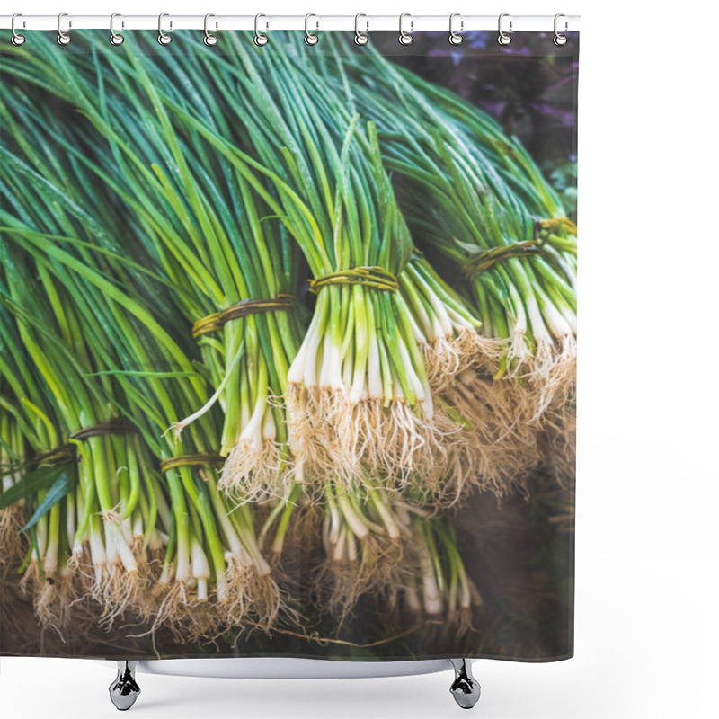 Personality  Green Onions Shower Curtains