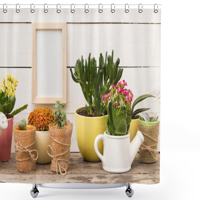 Personality  Empty Frame With Succulents Shower Curtains