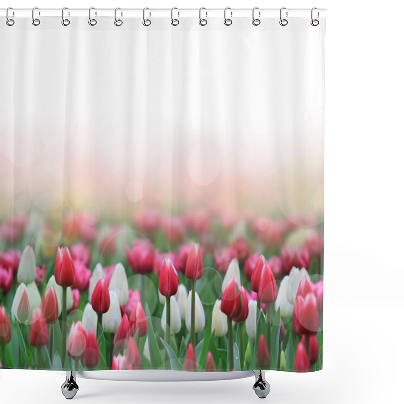 Personality  Beautiful Tulips Background Shower Curtains