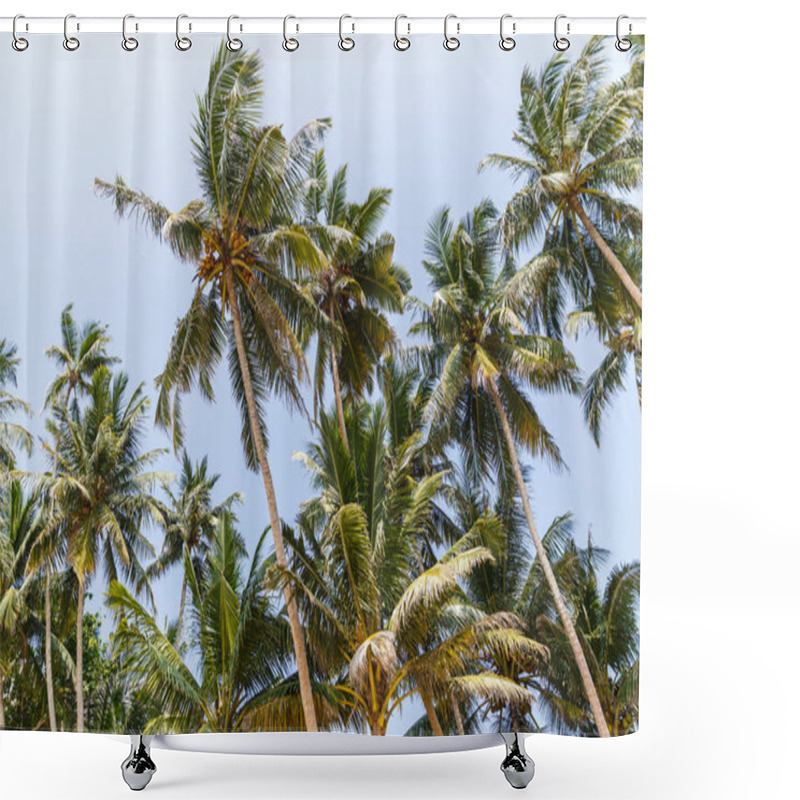 Personality  Palm Trees Shower Curtains