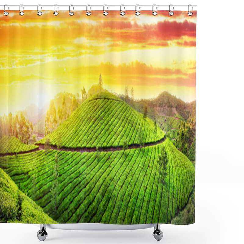 Personality  Tea Plantations Panorama Shower Curtains