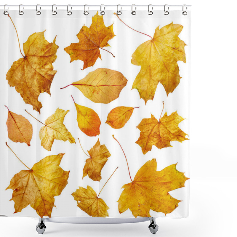 Personality  Autumn Leaves. Set Shower Curtains