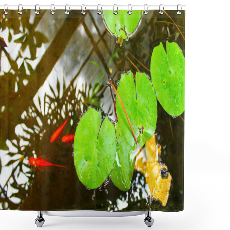 Personality  Zen Lake Shower Curtains