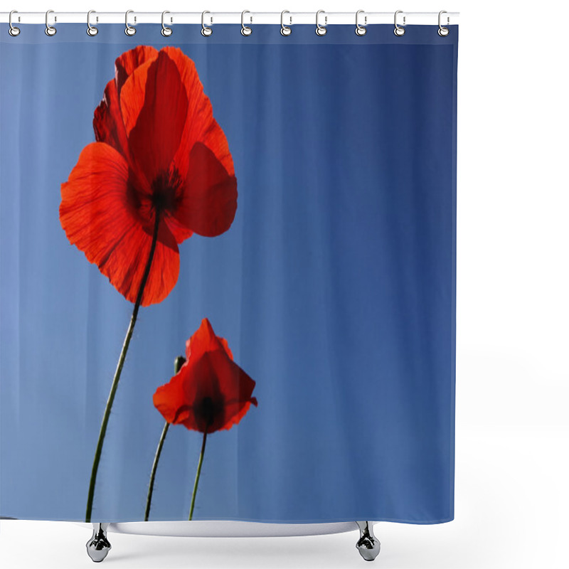 Personality  Poppies Over Blue Sky Shower Curtains