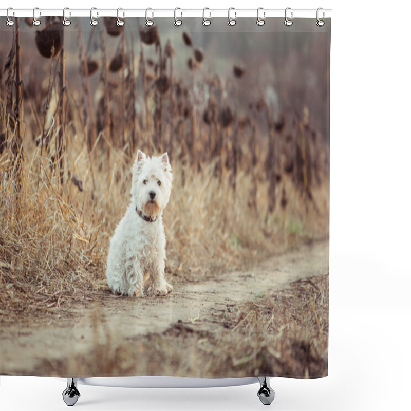 Personality  Small Dog Breeds White Terrier Shower Curtains