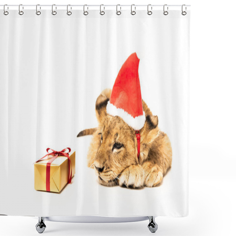 Personality  Cute Lion Cub In Santa Hat Near Golden Gift Isolated On White Shower Curtains