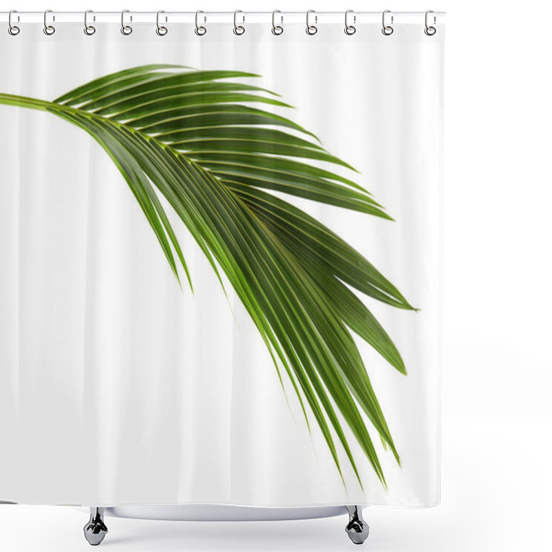 Personality  Coconut Leaves Or Coconut Fronds, Green Plam Leaves, Tropical Foliage Isolated On White Background With Clipping Path Shower Curtains