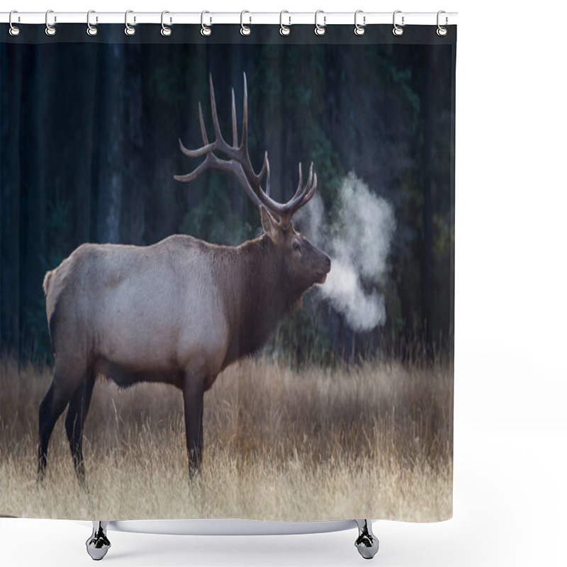 Personality  Elk In Wild, Animal. Nature, Fauna Shower Curtains