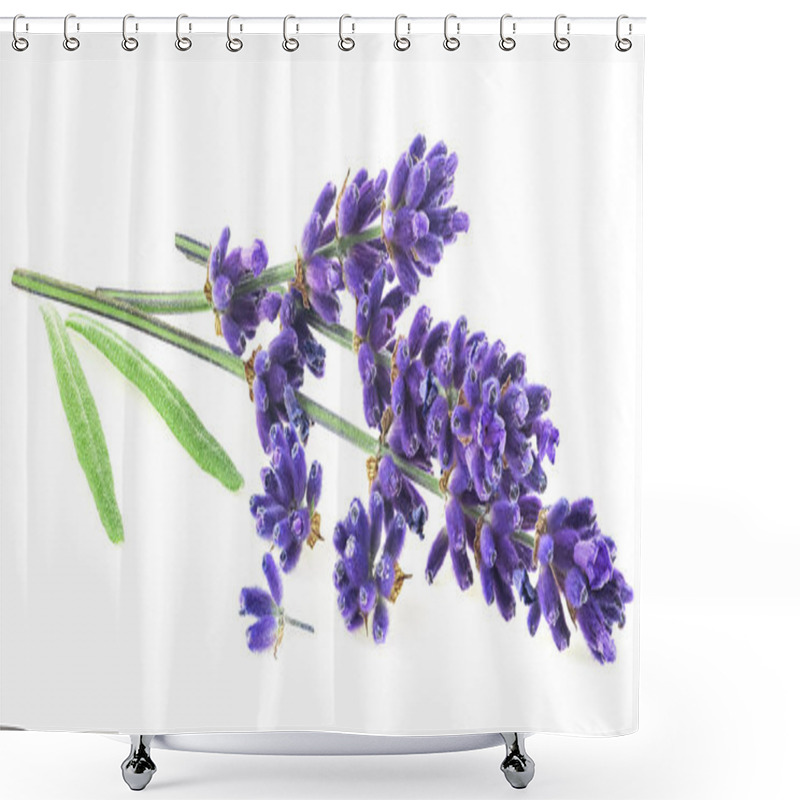 Personality  Lavender Flowers And Green Leaves Isolated On A White Background. Alternative Medicine Concept. Shower Curtains