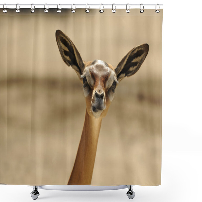 Personality  Gerenuk  Female Portrait Shower Curtains