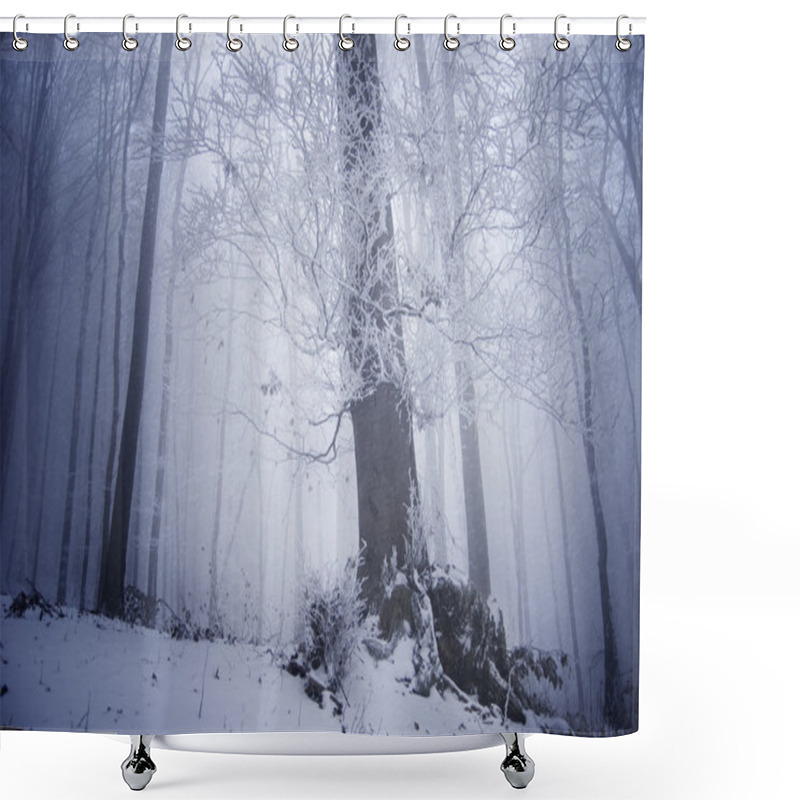 Personality  Large Tree In A Frozen Forest Shower Curtains