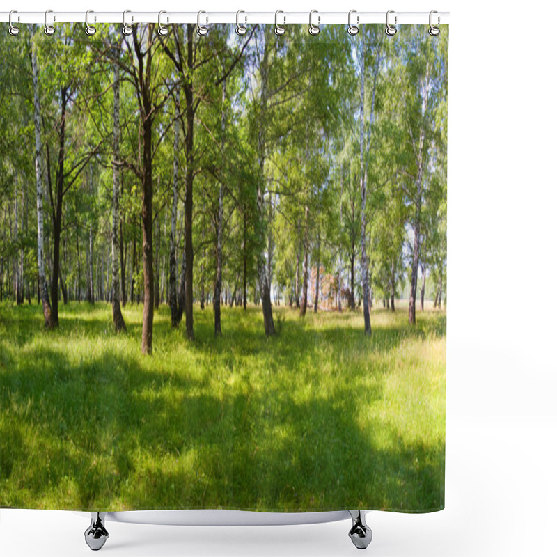 Personality  Summer Forest On Sunny Morning Shower Curtains