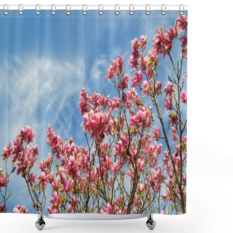 Personality  Pink Magnolia Trees Over Blue Sky Shower Curtains