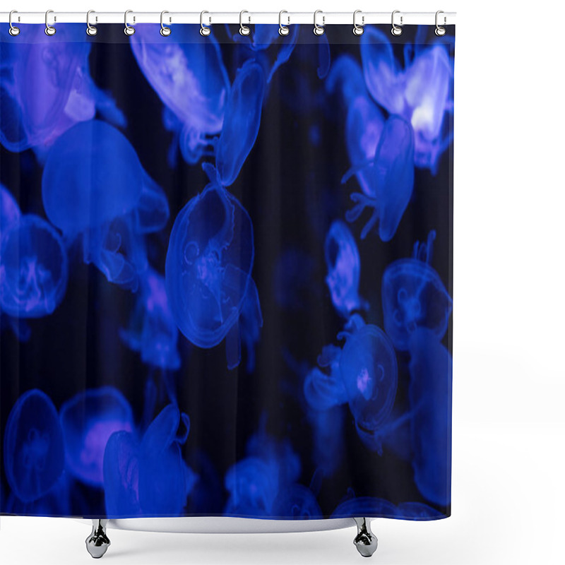 Personality  Jellyfishes Swimming Under Water In Aquarium With Blue Lighting Shower Curtains