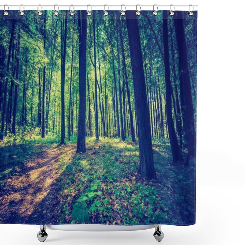 Personality  Green Springtime Forest Shower Curtains