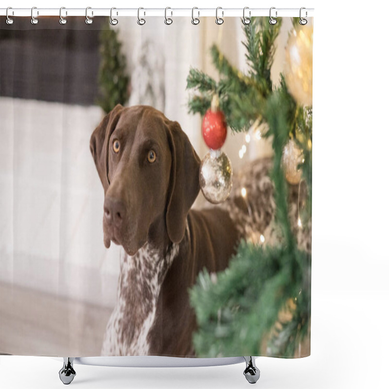 Personality  Close Up Of Dog And Christmas Tree Shower Curtains