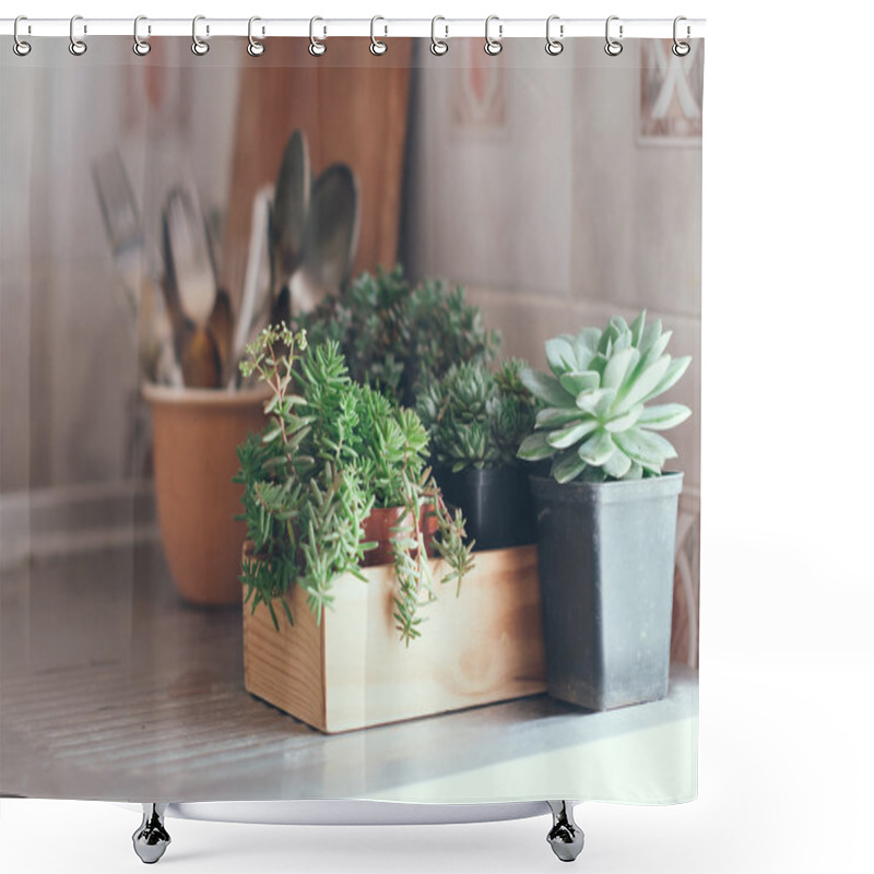 Personality  Succulents In A Wooden Box Shower Curtains