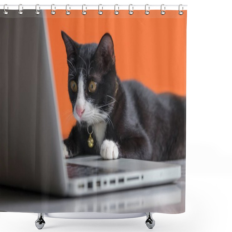 Personality  Black Cat Working At The Computer As A Developer Online Shower Curtains