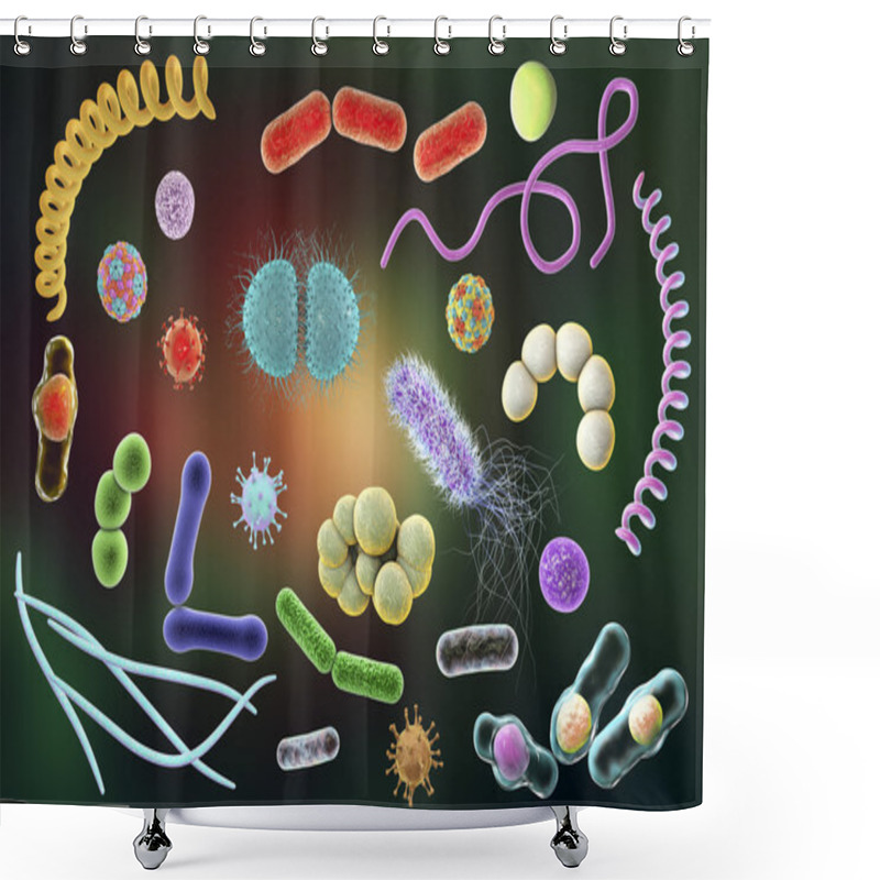 Personality  Microbes Of Different Shapes Shower Curtains