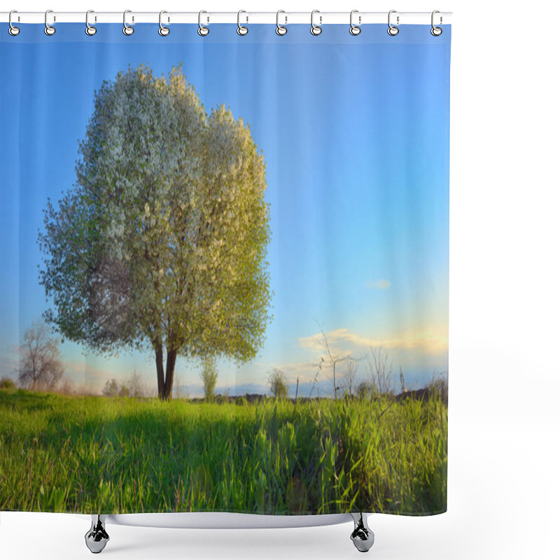 Personality  Blooming Tree Spring Shower Curtains