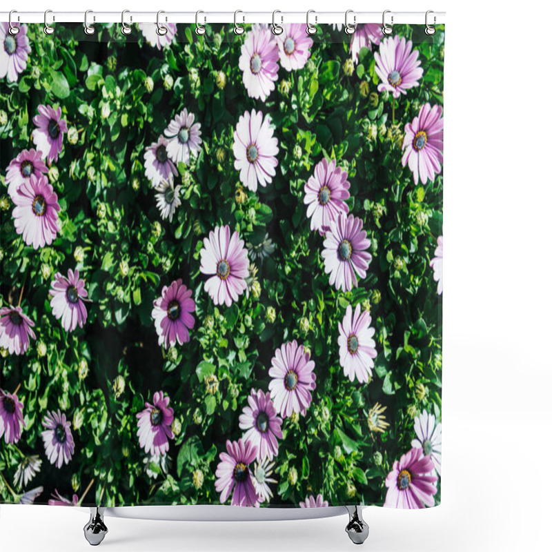 Personality  Daisy Shower Curtains