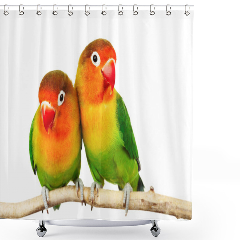 Personality  Pair Of Lovebirds Shower Curtains