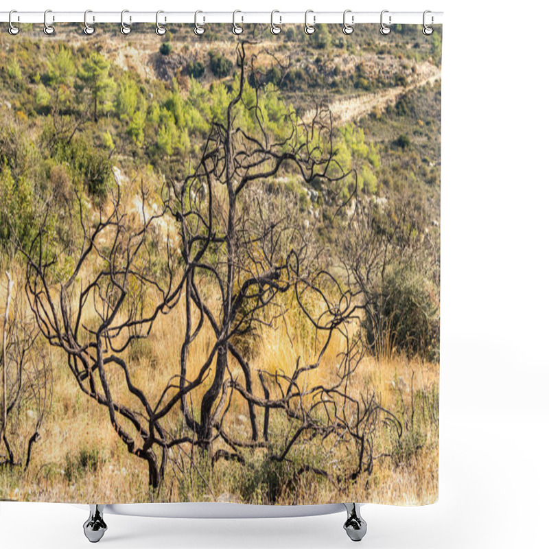 Personality  Powerful Image Of A Scorched Tree After A Forest Fire In The Cyprus Mountains, Highlighting The Devastating Impact Of Natural Disasters Shower Curtains