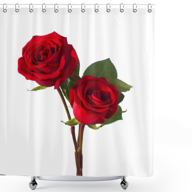 Personality  Two Red Roses Shower Curtains