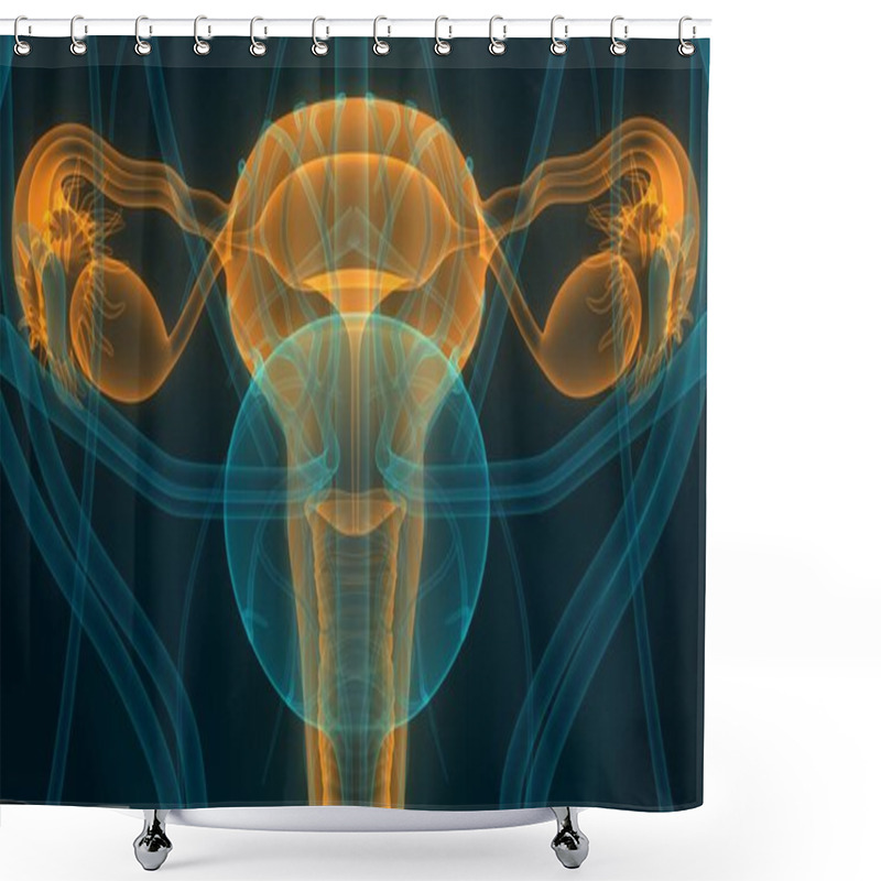 Personality  Female Reproductive System Anatomy. 3D Shower Curtains