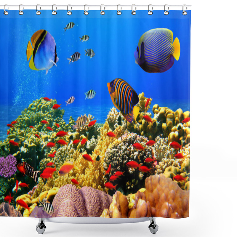 Personality  Photo Of A Coral Colony On A Reef, Egypt Shower Curtains