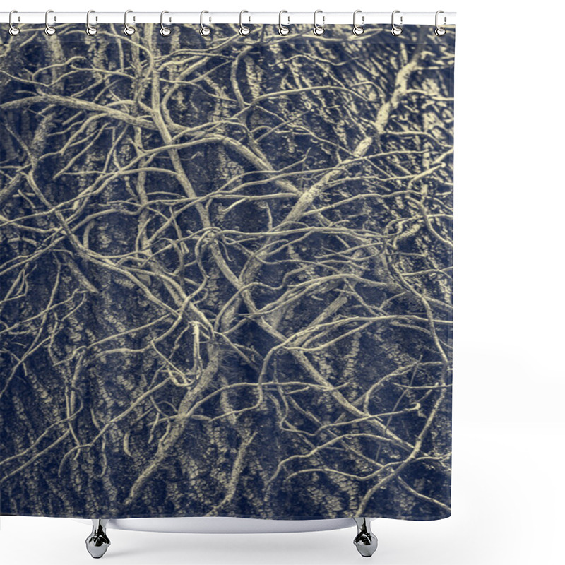 Personality  Twisted Leafless Vines Creeper Shower Curtains