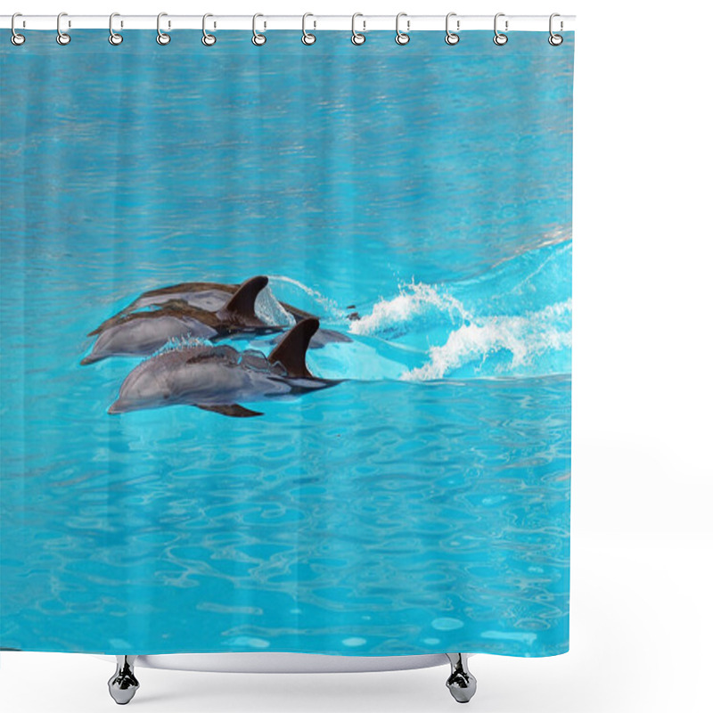 Personality  Dolphins Swim In The Pool Shower Curtains