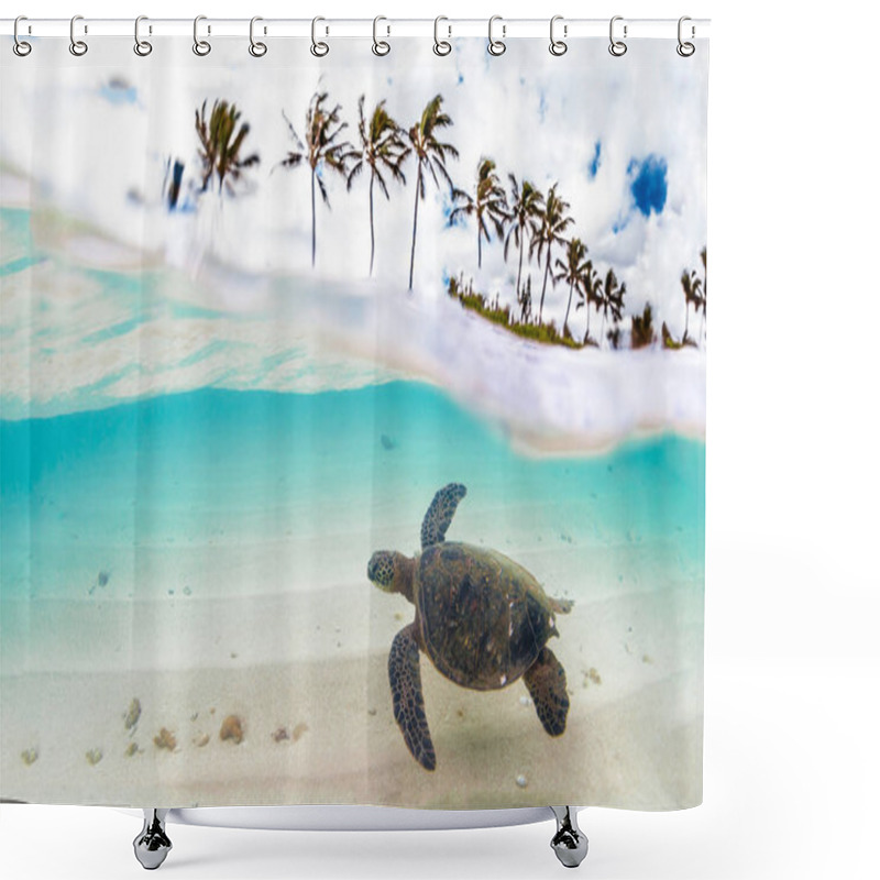 Personality  Hawaiian Green Sea Turtle Cruising In The Warm Waters Of The Pacific Ocean In Hawaii Shower Curtains