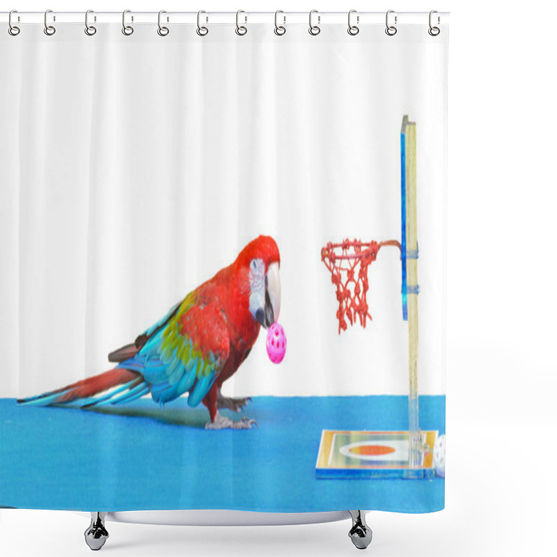 Personality  Macaw Playing Basketball Ball Toy Isolated On White Shower Curtains