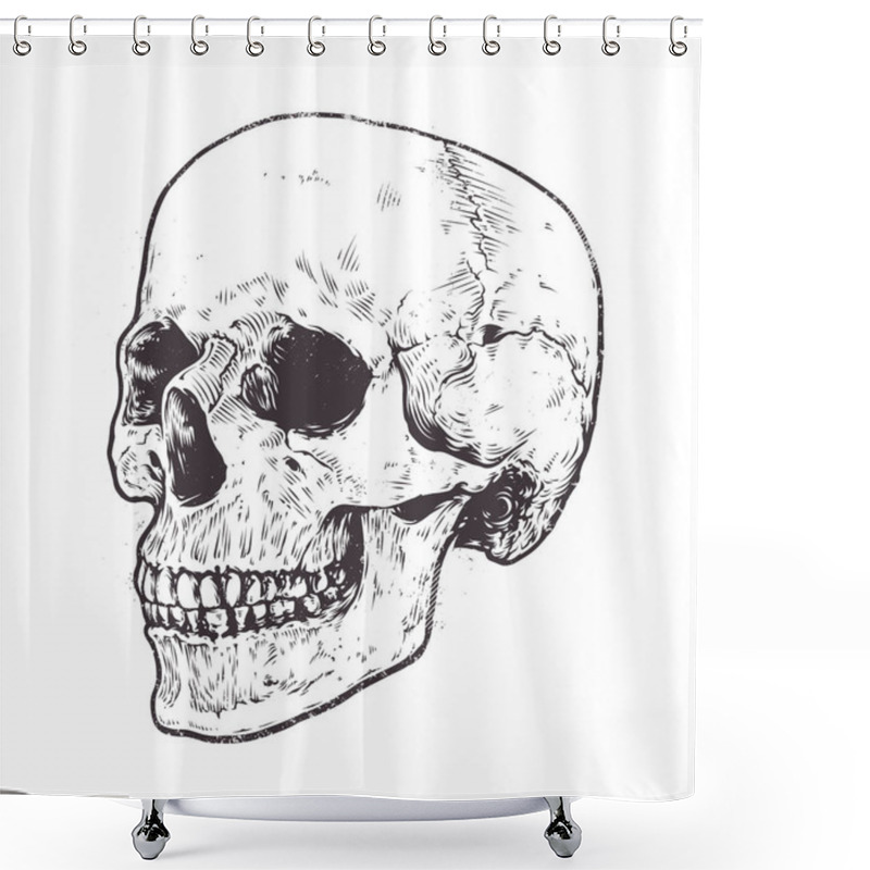 Personality  Anatomic Skull Vector Shower Curtains