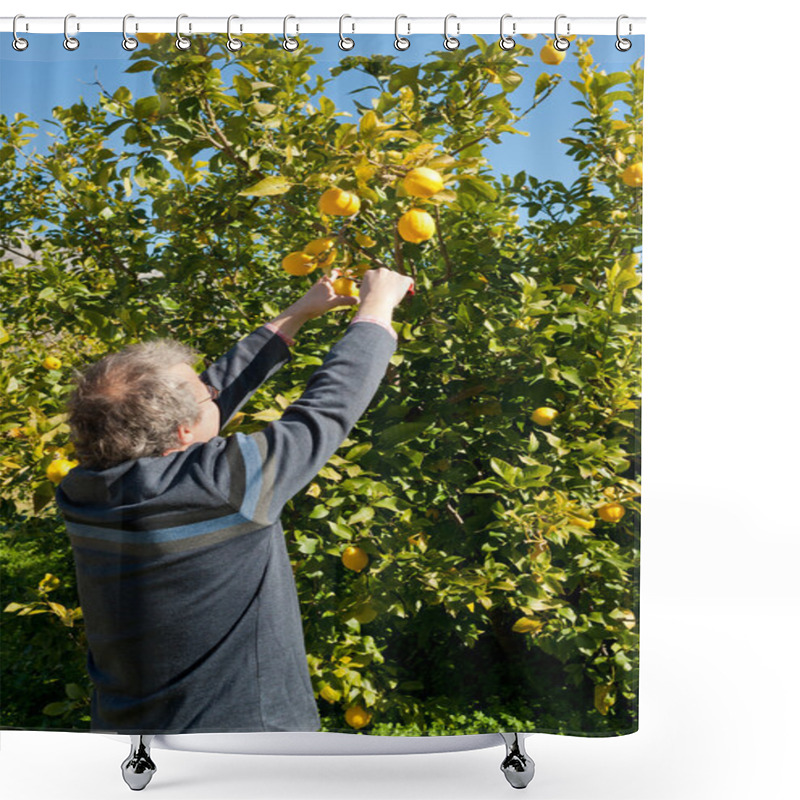 Personality  Picking Lemons Shower Curtains