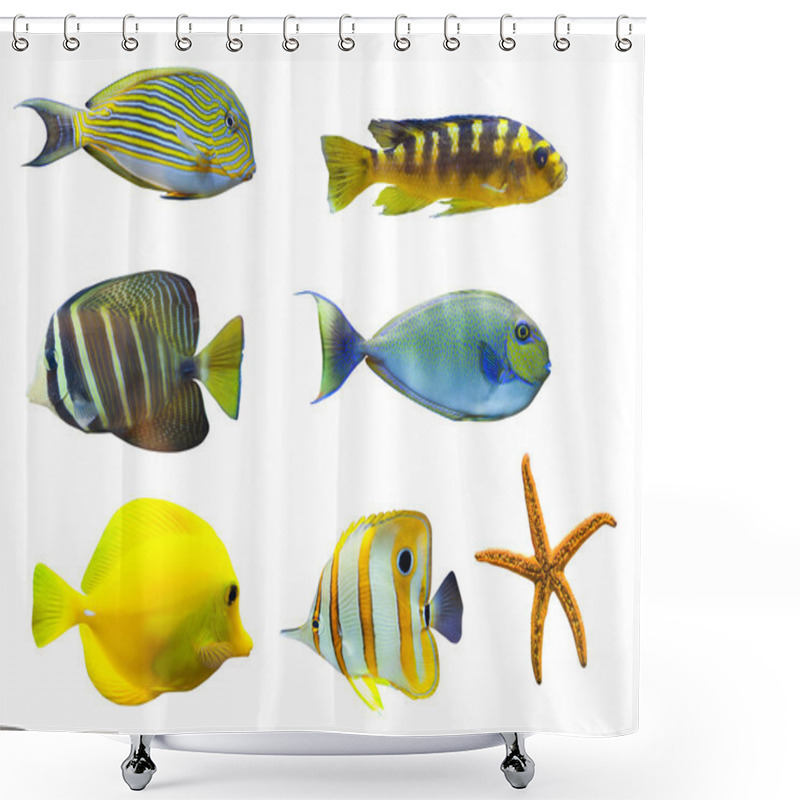 Personality  Tropical World Of Fish Shower Curtains