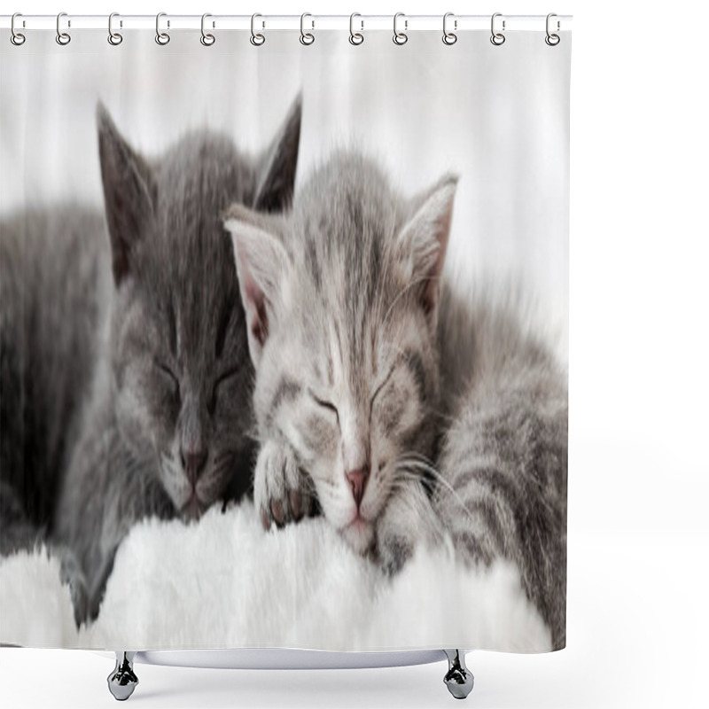 Personality  Couple Happy Kittens Sleep Relax Together. Kitten Family In Love. Adorable Kitty Noses For Valentine S Day. Long Web Banner Close Up. Cozy Home Animal Sleeping Comfortably Shower Curtains