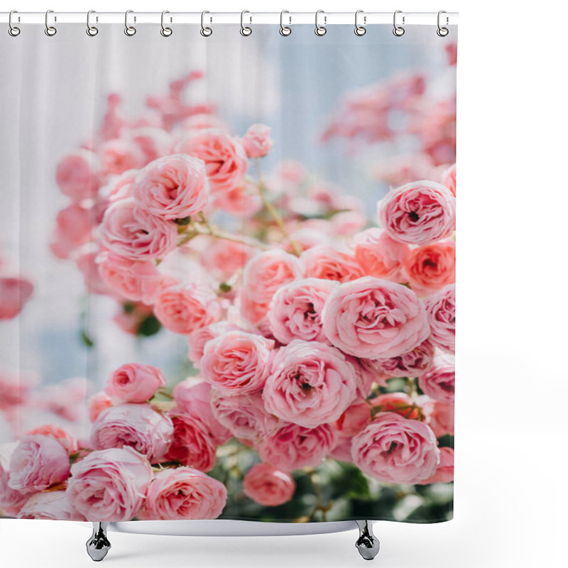 Personality  Close-up Shot Of Beautiful Bouquet Of Pink Roses Shower Curtains