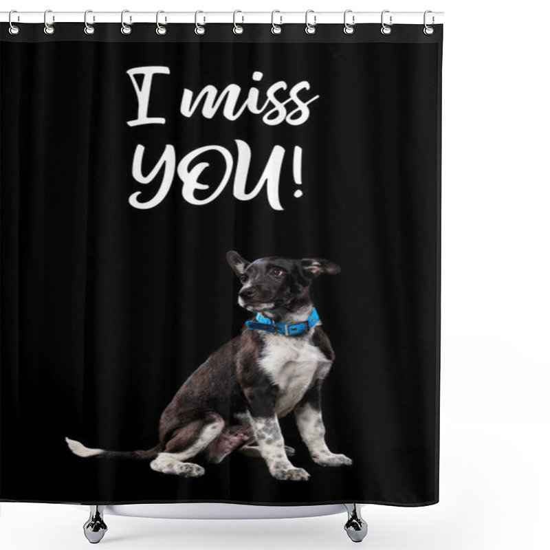 Personality  Dark Mongrel Dog In Blue Collar And Lettering I Miss You Isolated On Black Shower Curtains