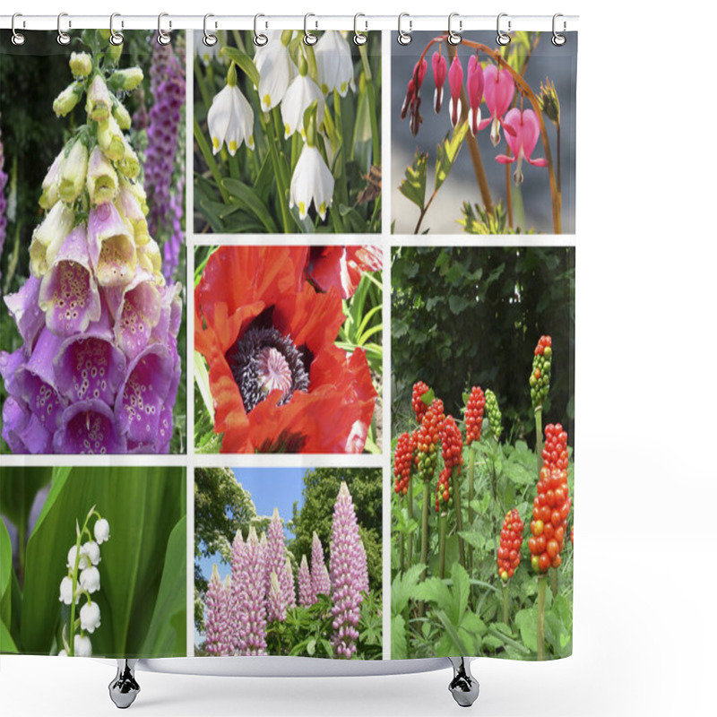 Personality  Collage Of Toxic Plants In The Garden Shower Curtains