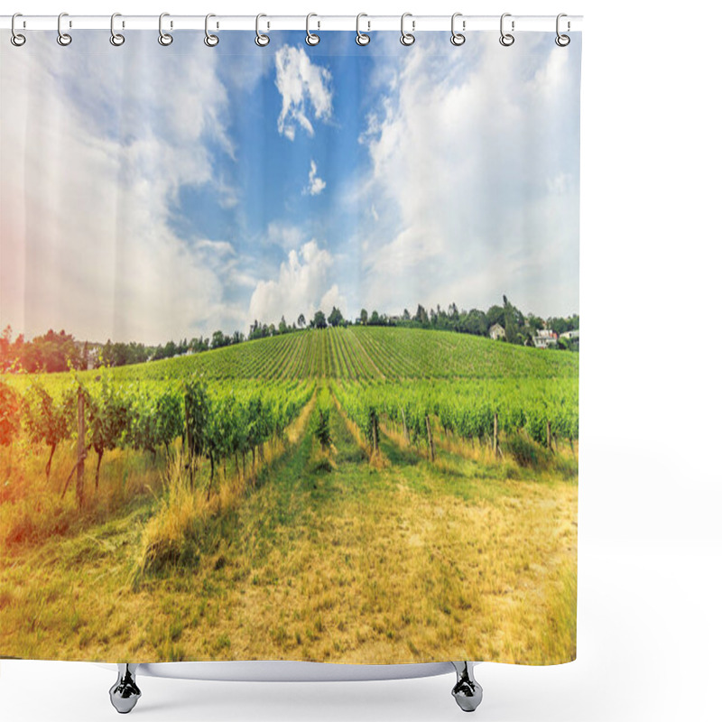 Personality  Vineyard On Bright Summer Day Under Blue Sky With White Clouds In Vienna Austria Shower Curtains