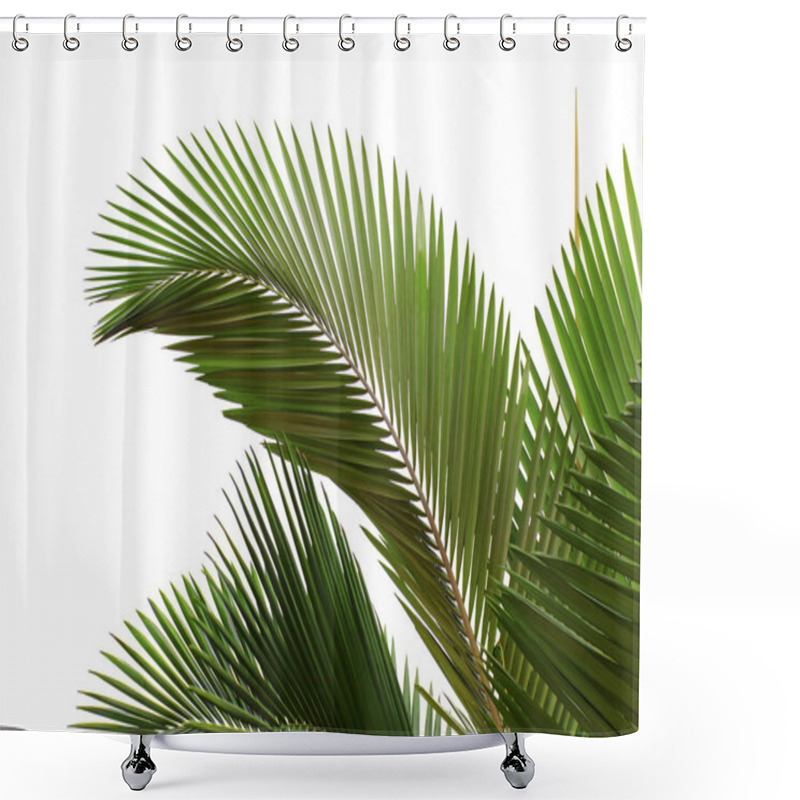 Personality  Leaves Of Palm Tree Shower Curtains