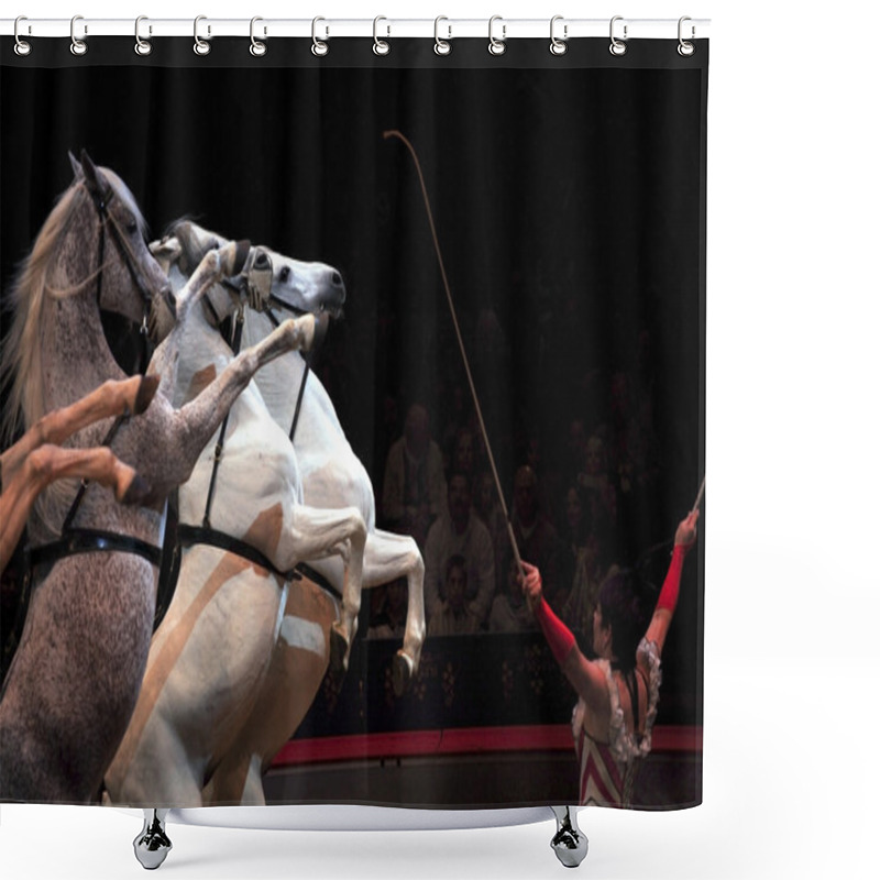 Personality  Big Apple Circus Shower Curtains