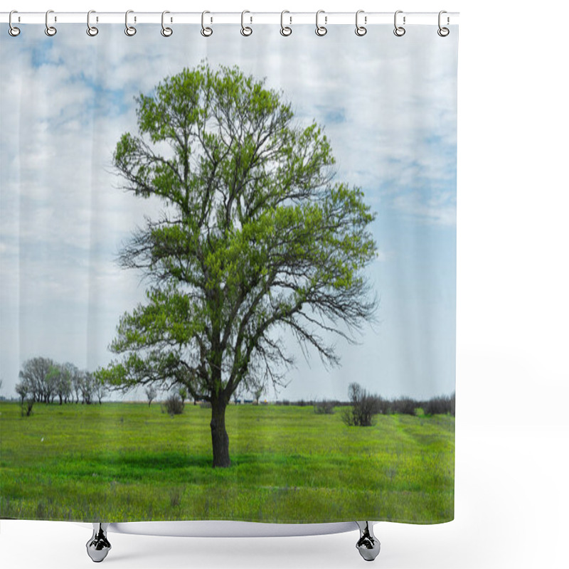 Personality  Spring Landscape Lonely Green Oak Tree On A Green Field Of Lush Grass Against A Blue Sky Background Of Sun Rays And White Clouds. The Concept Of Ecology Shower Curtains