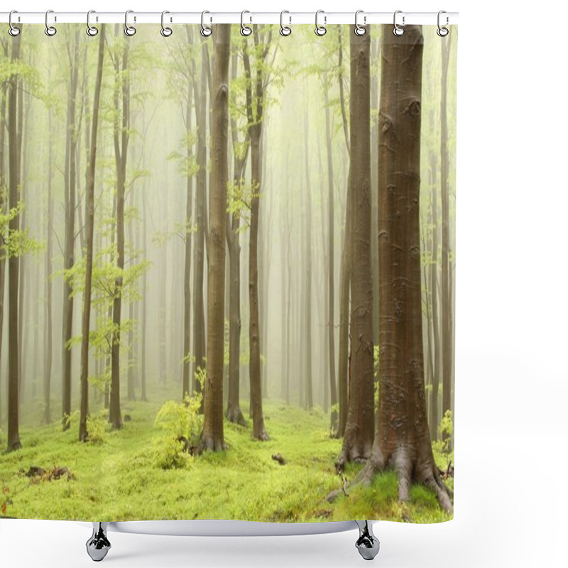 Personality  Beech Forest In The Fog Shower Curtains