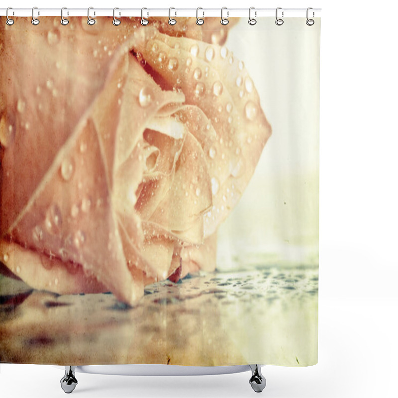 Personality  Pink Rose Covered With Dew Shower Curtains