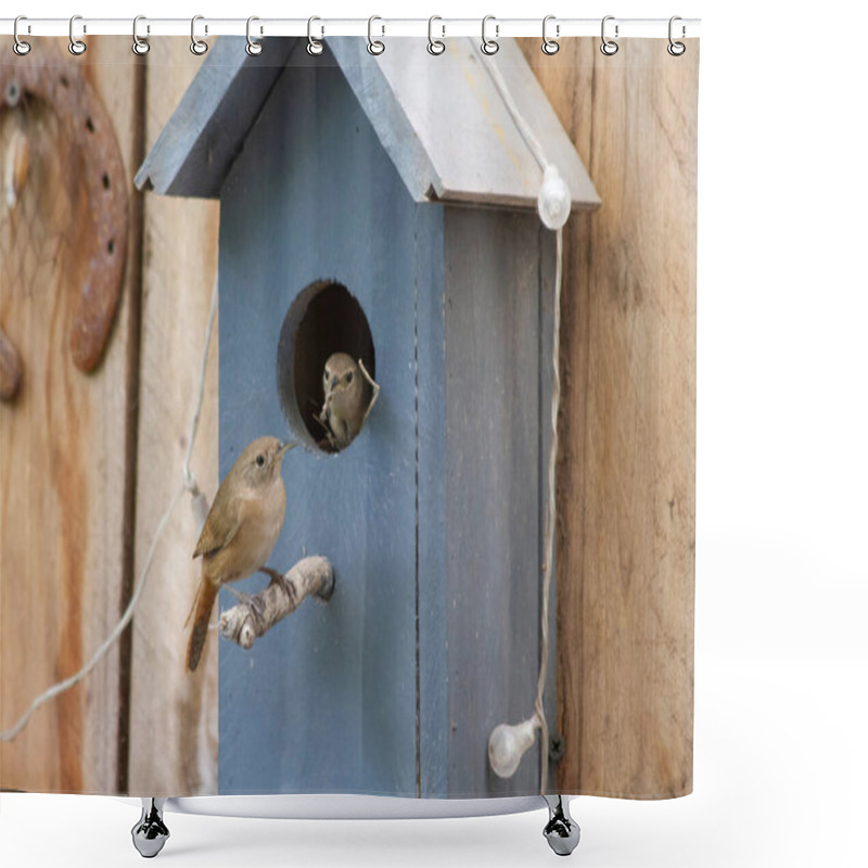 Personality  Birds Passing Food To Each Other In A Birdhouse To Feed Their Chicks Shower Curtains