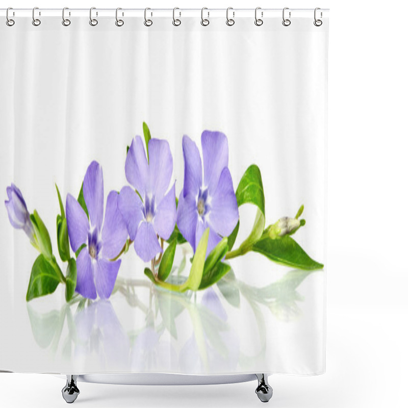 Personality  Beautiful Blue Periwinkle Isolated On White Shower Curtains